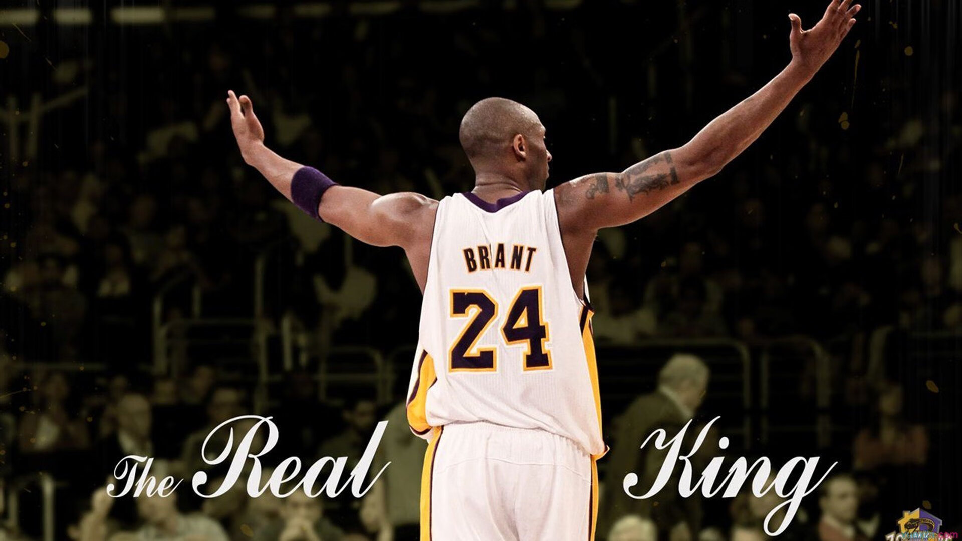 体育频道推出中国篮球故事专题讲述幕后奋斗与坚持，篮球体育节目